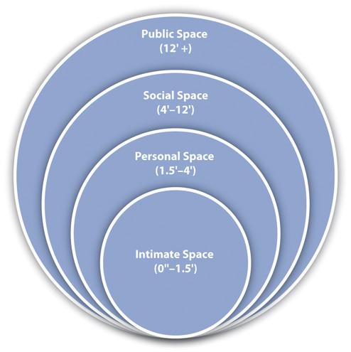 A diagrammatic representation of proxemic zones.