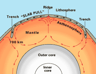Mantle Convection cells driving movement of tectonic plates