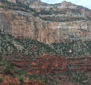 Image showing rocks of the Grand Canyon. The rocks show a sea level drop over geologic time.