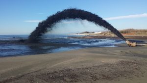 Image showing sand being brought to the beach for replenishment