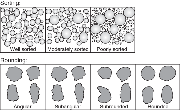 Sorting of clasts/grains from well-sorted to poorly sorted and the rounding of grains from angular to rounded.