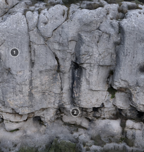 Limestone outcrop interactive model
