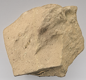 Rhyolite Interactive Model. Rhyolite is a fine-grained rock with light-tan to pink coloring.