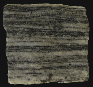 Gneiss Interactive Model