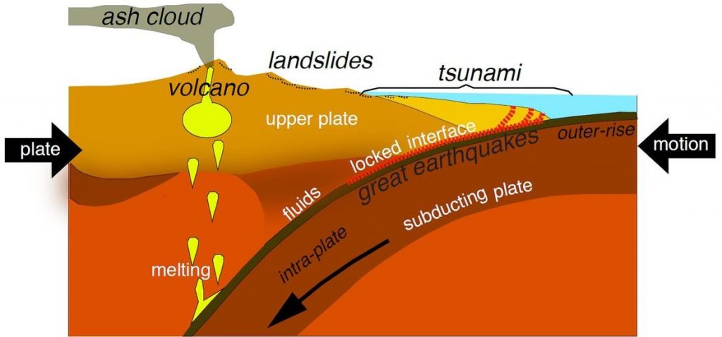 Diagram of a subduction zone at convergent plate boundary. These cause volcanoes, earthquakes, and associated tsunamis.