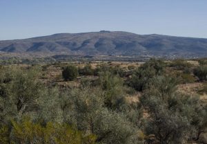 House Mountain shield volcano looms over desert Verde Valley in the distance.