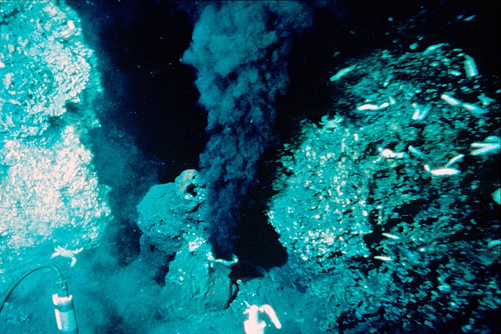 An underwater, dark rock formation surrounded by small sea life. At the center, hot water is erupted out into the cold sea along with black minerals, which looks like black smoke.