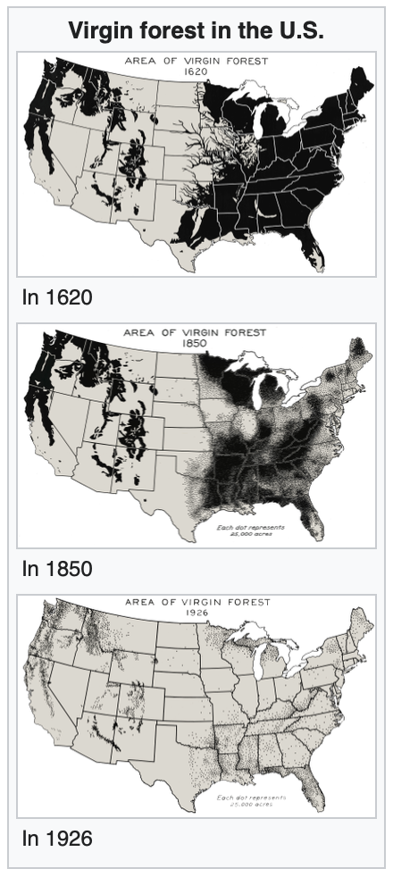 Deforestation in the US