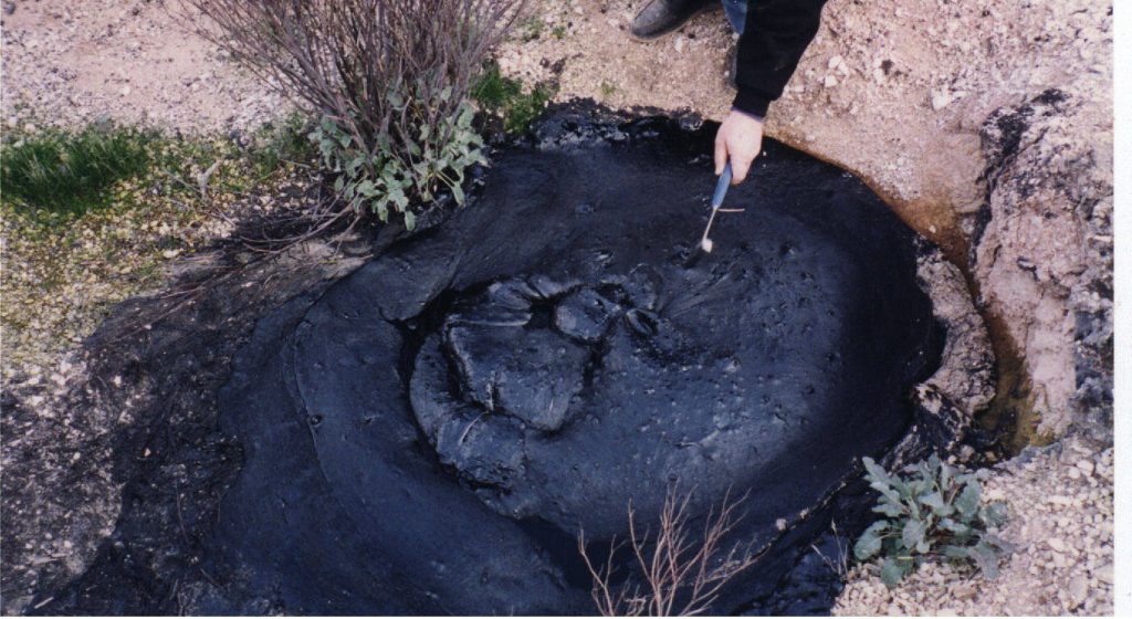 Naturally occurring oil seep near McKittrick, California, United States.