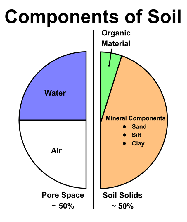 Pie chart showing components of soil as about 50% pore space, half air-filled and half water-filled; about 50% Soil solids, with the majority of that being inorganic mineral components.