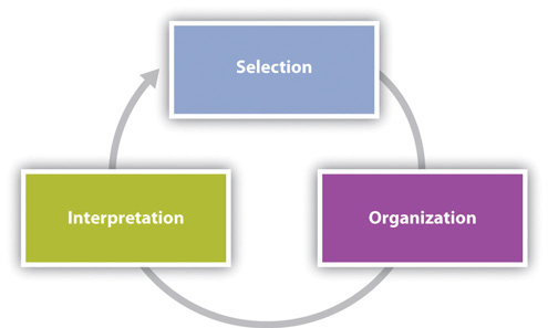 The perception process of selection, organization, and interpretation