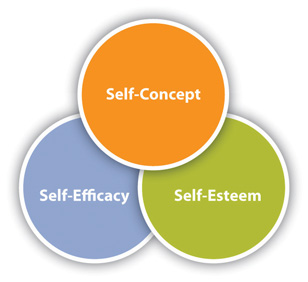 Figure of overlapping self concept, self efficacy, and self esteem