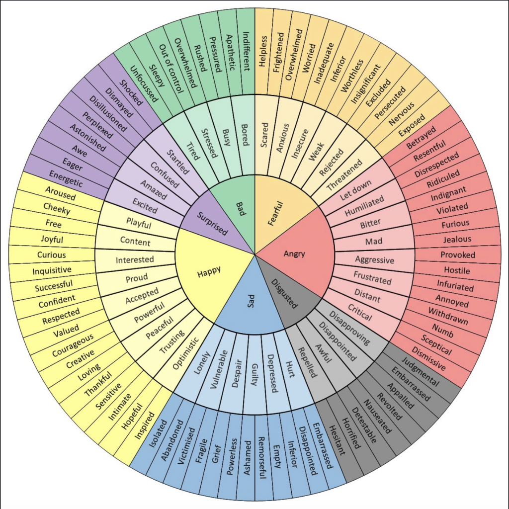 A multicolored wheel depicting emotional variety