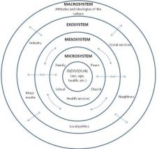 Chapter 2: Developmental Theories – Development through the Lifespan