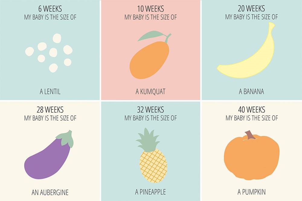 Беременность фрукты размер. Фрукты по неделям. Малыш по неделям беременности фрукты. Размер малыша фрукты. Беременность по фруктам.