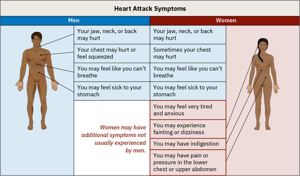 In middle adulthood, cardiovascular disease is a major health risk for all adults. The symptoms of a heart attack may be different for men and women. (attribution: Copyright Rice University, OpenStax, under CC BY 4.0 license)