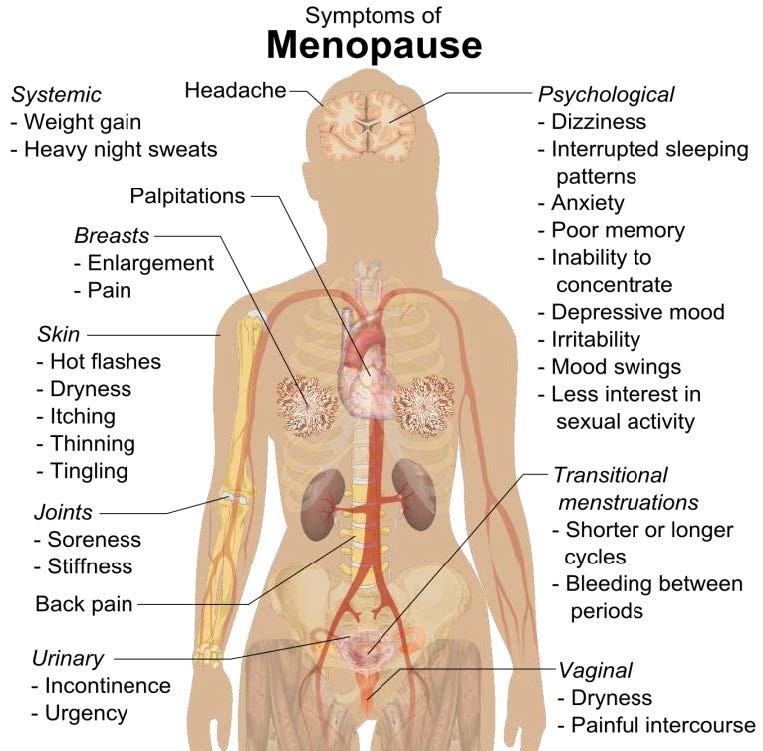 illustration of female body parts with symptoms of menopause for body parts labeled