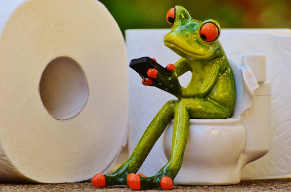 frog on toilet