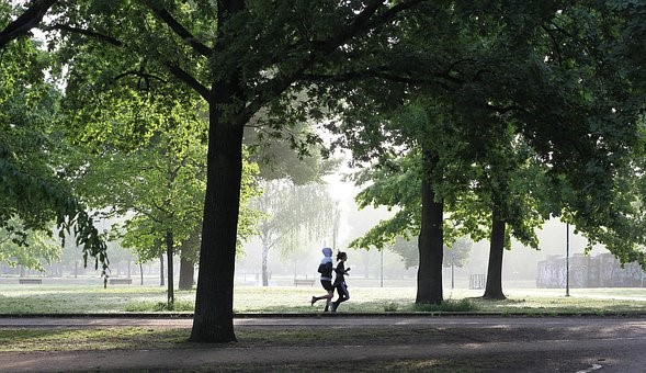 image of park with 2 people running