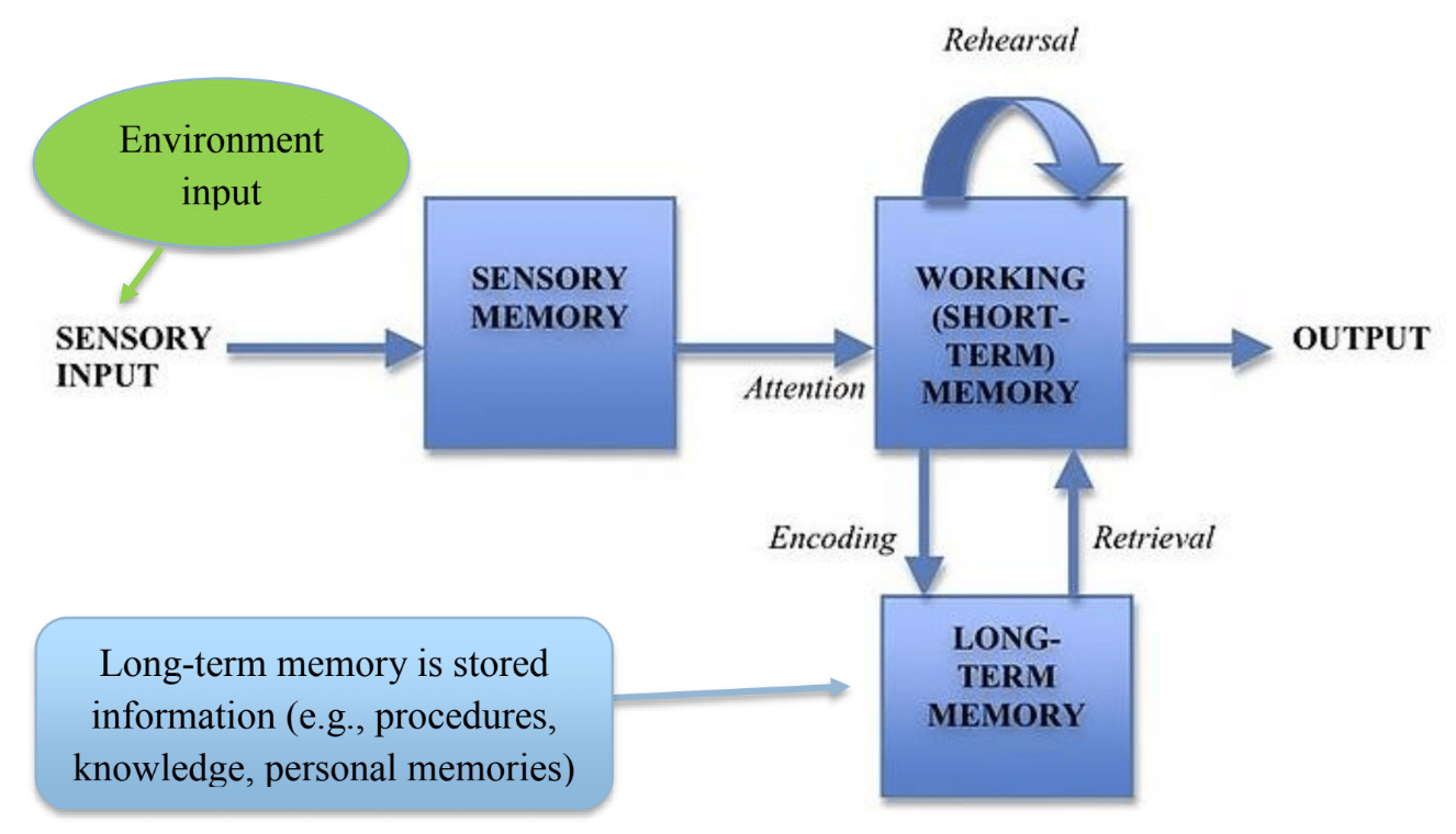 Information processing model