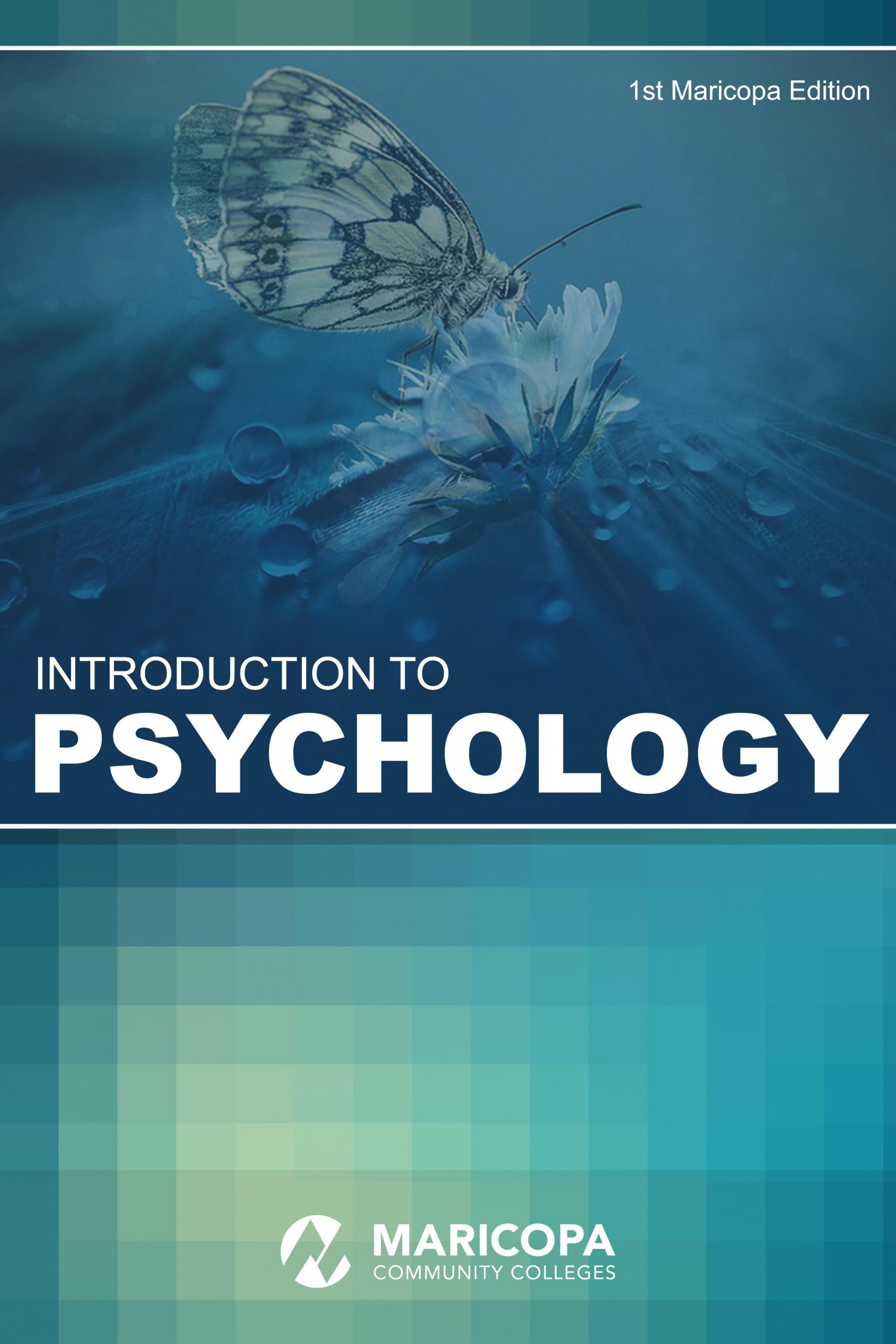 Introduction To Psychology – Simple Book Publishing