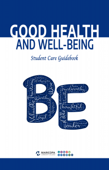 Good Health and Well-Being book cover