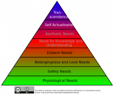 Emotion and Motivation – Introduction to Psychology