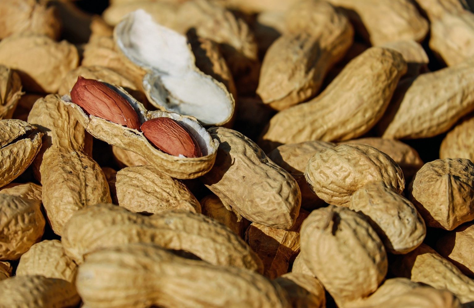 What Are The 8 Most Common Ingredients That Triggers The Food Allergies