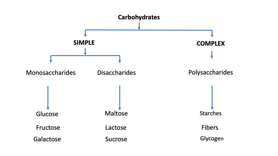 Carbohdyrates – Nutrition Essentials