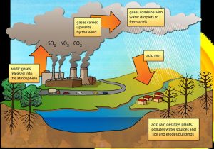 Illustration showing a power plant releasing SO2, NO2, and CO2 into the atmosphere. The pollutants mix with rainwater and fall to the earth as acid rain.