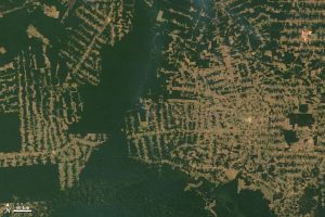 Satellite photo shows a large portion of the Amazon forest has been replaced with farmland