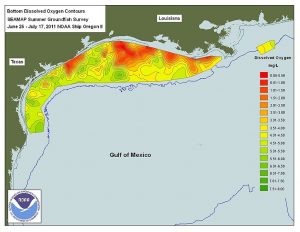 Map of Gulf of Mexico showing a large area with low dissolved oxygen levels