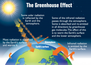 Diagram shows how the greenhouse effect works. Some sunlight is reflected by the atmosphere before it hits the earth. Some sunlight hits earth and converts to infrared radiation, or heat. Some heat is trapped by greenhouse gases and reflected back to the earth's surface.