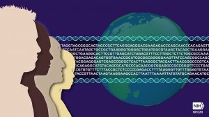 Illustration shows some of the letters in the DNA sequence of humans