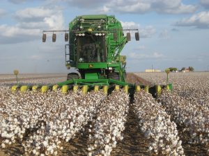 Photo of a large tractor harvesting cotton