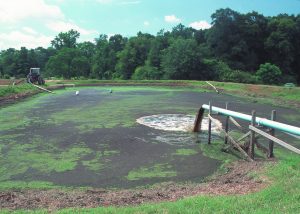 Photo of a pipe pouring brown liguid made up of animal manure and water into a small pond