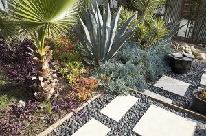 Yard planted with desert plants and covered with gravel