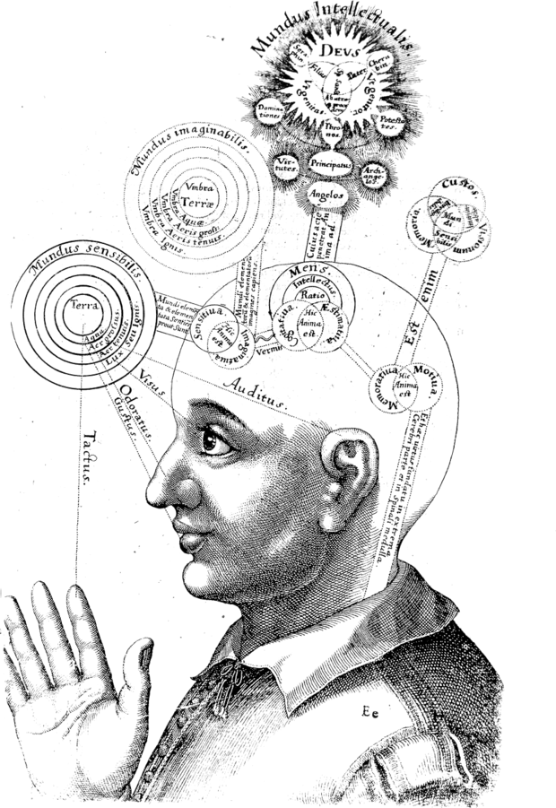 Phrenology image showing how brain works.
