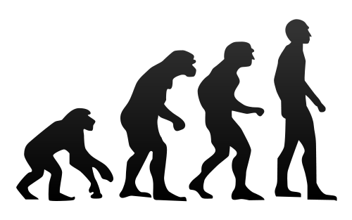 Four images show the progression of man from ape to our current modern form.