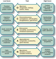 Five Factor Model and Cross-Cultural Research – Culture and Psychology