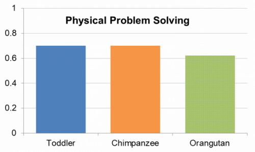 Three bar graphs display average scores on a measure of problem solving abilities for Toddlers, Chimpanzees and Orangutans. The scores are relatively similar. 