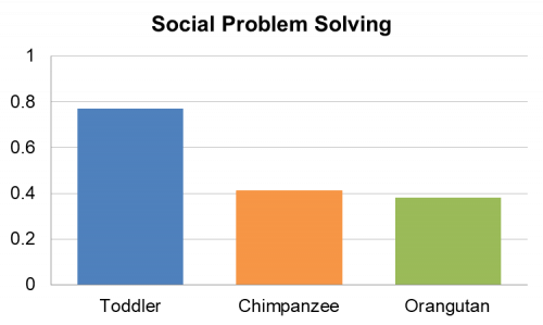 Three bar graphs display the average scores on a social learning task for Toddlers, Chimpanzees, and Orangutans 