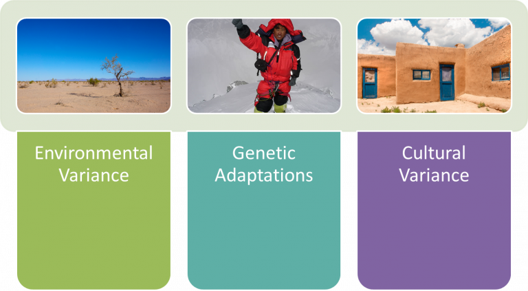 Ecological and Geographic Cultural Variation – Culture and Psychology