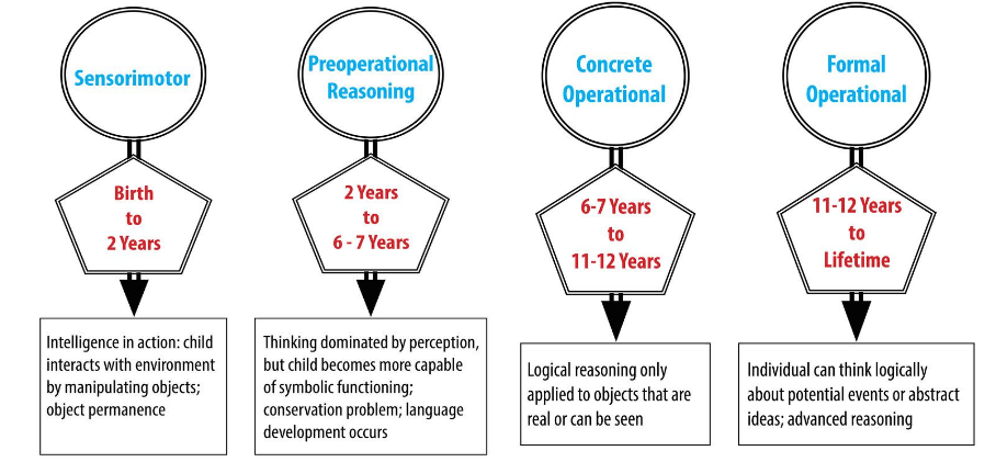 Process of cognitive development new arrivals