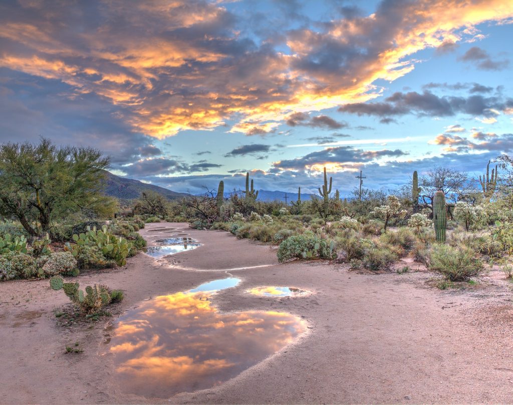Arizona desert and sunset with puddles of water on the ground