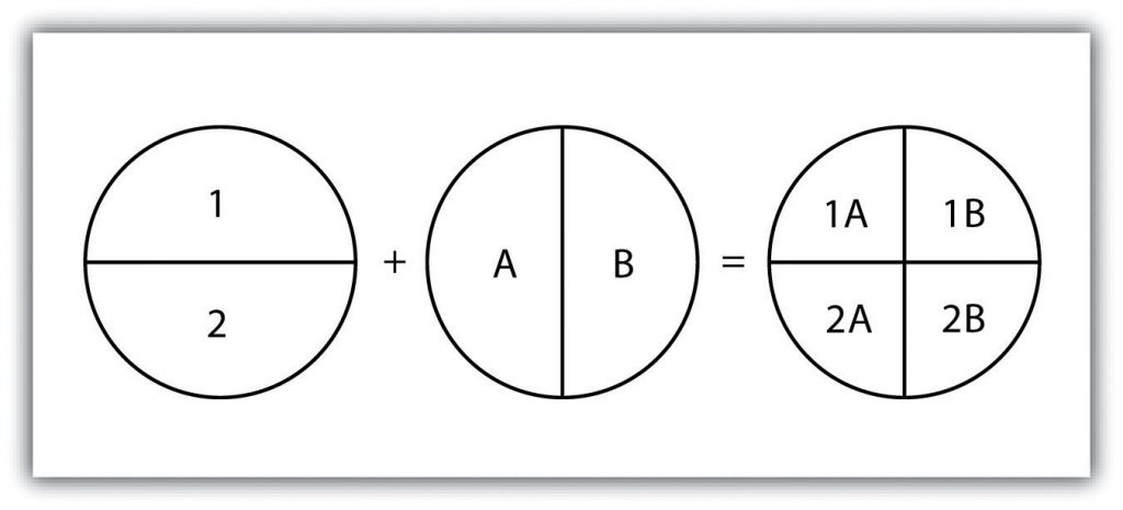 An operation, output being polygon input and polygon overlay.