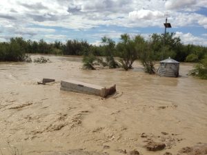 Formerly dry wash now a violent torrent after heavy rain in the area