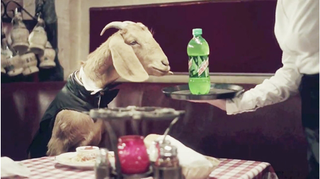 A goat berates a server regarding his want for Mountain Dew
