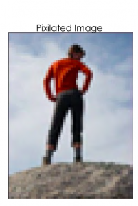 Example of a pixelated image showing an obscured person