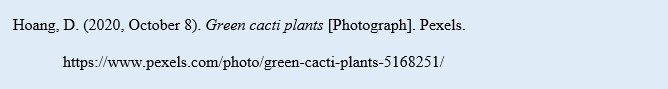 Hoang, D. (2020, October 8). Green cacti plants [Photograph]. Pexels. https://www.pexels.com/photo/green-cacti-plants-5168251/